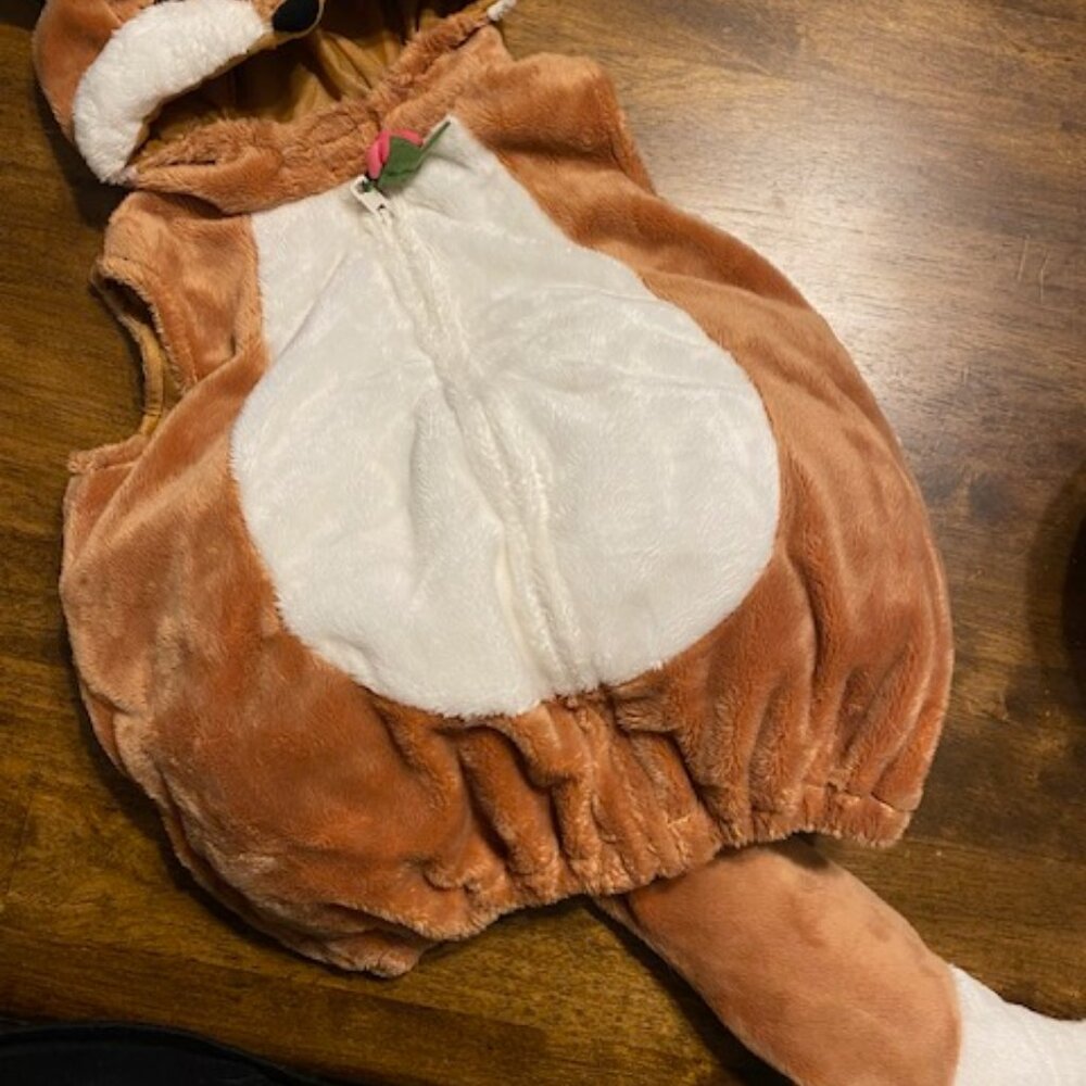 Baby fox costume 9-12mo